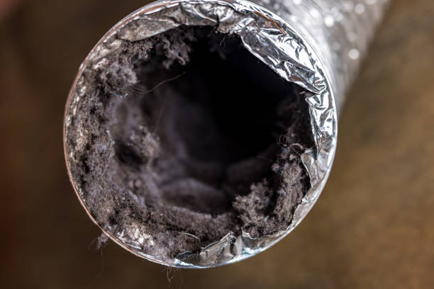 Best Commercial Air Duct Cleaning  in Stamford, TX